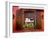 Window Flower Pots and Shutters, Alsace, France-Tom Haseltine-Framed Premium Photographic Print