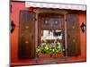 Window Flower Pots and Shutters, Alsace, France-Tom Haseltine-Mounted Premium Photographic Print