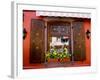 Window Flower Pots and Shutters, Alsace, France-Tom Haseltine-Framed Photographic Print