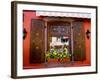 Window Flower Pots and Shutters, Alsace, France-Tom Haseltine-Framed Photographic Print