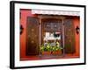 Window Flower Pots and Shutters, Alsace, France-Tom Haseltine-Framed Photographic Print