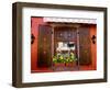 Window Flower Pots and Shutters, Alsace, France-Tom Haseltine-Framed Photographic Print