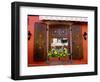 Window Flower Pots and Shutters, Alsace, France-Tom Haseltine-Framed Photographic Print