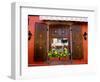 Window Flower Pots and Shutters, Alsace, France-Tom Haseltine-Framed Photographic Print