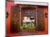 Window Flower Pots and Shutters, Alsace, France-Tom Haseltine-Mounted Photographic Print