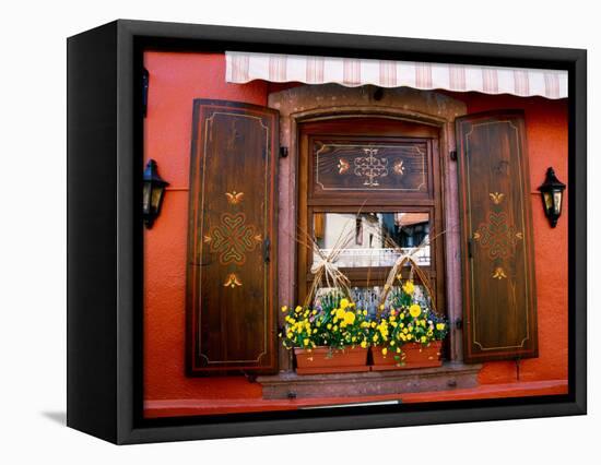 Window Flower Pots and Shutters, Alsace, France-Tom Haseltine-Framed Stretched Canvas