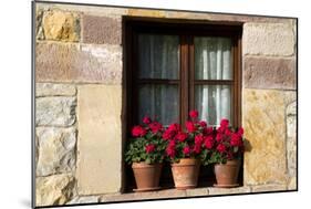 Window Flower Pots in Village of Santillana Del Mar, Cantabria, Spain-David R^ Frazier-Mounted Photographic Print