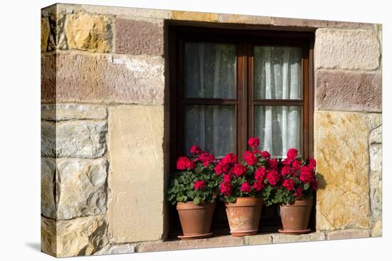 Window Flower Pots in Village of Santillana Del Mar, Cantabria, Spain-David R^ Frazier-Stretched Canvas