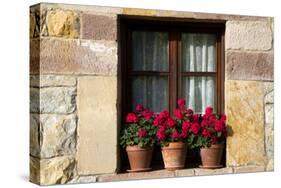 Window Flower Pots in Village of Santillana Del Mar, Cantabria, Spain-David R^ Frazier-Stretched Canvas