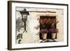 Window Flower Pots in Village of Santillana Del Mar, Cantabria, Spain-David R. Frazier-Framed Photographic Print