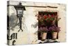 Window Flower Pots in Village of Santillana Del Mar, Cantabria, Spain-David R. Frazier-Stretched Canvas