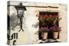 Window Flower Pots in Village of Santillana Del Mar, Cantabria, Spain-David R. Frazier-Stretched Canvas