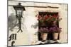 Window Flower Pots in Village of Santillana Del Mar, Cantabria, Spain-David R. Frazier-Mounted Photographic Print
