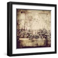 Window Garden-Dawne Polis-Framed Giclee Print