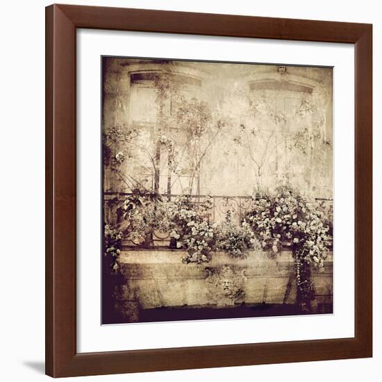 Window Garden-Dawne Polis-Framed Giclee Print