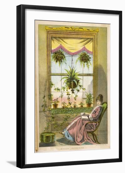 Window Gardening-null-Framed Art Print