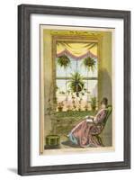 Window Gardening-null-Framed Art Print