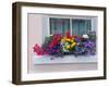 Window greets visitors in the village of Cong, Connacht County, Ireland.-Betty Sederquist-Framed Photographic Print