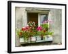 Window in Old Town, Istria, Croatia-Russell Young-Framed Photographic Print