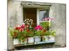 Window in Old Town, Istria, Croatia-Russell Young-Mounted Photographic Print