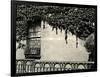 Window, Ivy On Wall, New York, 1945-Brett Weston-Framed Photographic Print