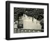 Window, Ivy On Wall, New York, 1945-Brett Weston-Framed Photographic Print