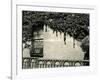 Window, Ivy On Wall, New York, 1945-Brett Weston-Framed Photographic Print