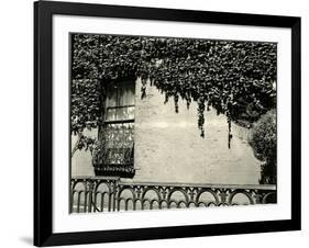 Window, Ivy On Wall, New York, 1945-Brett Weston-Framed Photographic Print