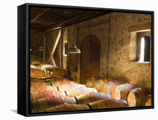 Window Light Streams Into Barrel Room at Hess Collection Winery, Napa Valley, California, USA-Janis Miglavs-Framed Stretched Canvas
