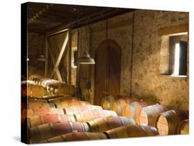 Window Light Streams Into Barrel Room at Hess Collection Winery, Napa Valley, California, USA-Janis Miglavs-Stretched Canvas