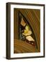 Window N1 Depicting a Musician Angel with Bagpipes-null-Framed Giclee Print