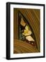 Window N1 Depicting a Musician Angel with Bagpipes-null-Framed Giclee Print