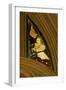 Window N1 Depicting a Musician Angel with Bagpipes-null-Framed Giclee Print