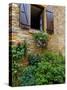 Window of Limestone House, Olingt, Burgundy, France-Lisa S. Engelbrecht-Stretched Canvas