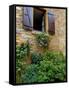 Window of Limestone House, Olingt, Burgundy, France-Lisa S. Engelbrecht-Framed Stretched Canvas