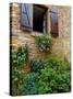 Window of Limestone House, Olingt, Burgundy, France-Lisa S. Engelbrecht-Stretched Canvas