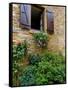 Window of Limestone House, Olingt, Burgundy, France-Lisa S. Engelbrecht-Framed Stretched Canvas