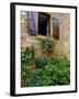 Window of Limestone House, Olingt, Burgundy, France-Lisa S. Engelbrecht-Framed Premium Photographic Print