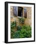 Window of Limestone House, Olingt, Burgundy, France-Lisa S. Engelbrecht-Framed Photographic Print