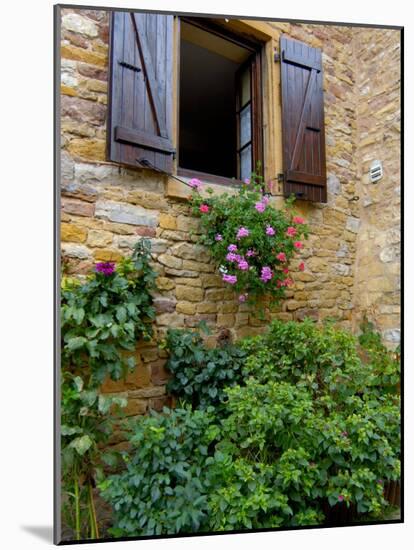 Window of Limestone House, Olingt, Burgundy, France-Lisa S. Engelbrecht-Mounted Photographic Print
