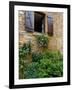 Window of Limestone House, Olingt, Burgundy, France-Lisa S. Engelbrecht-Framed Photographic Print