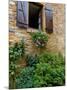 Window of Limestone House, Olingt, Burgundy, France-Lisa S. Engelbrecht-Mounted Photographic Print