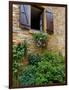 Window of Limestone House, Olingt, Burgundy, France-Lisa S. Engelbrecht-Framed Photographic Print