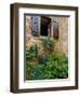 Window of Limestone House, Olingt, Burgundy, France-Lisa S. Engelbrecht-Framed Photographic Print