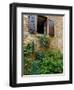 Window of Limestone House, Olingt, Burgundy, France-Lisa S. Engelbrecht-Framed Photographic Print