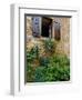 Window of Limestone House, Olingt, Burgundy, France-Lisa S. Engelbrecht-Framed Photographic Print