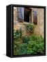 Window of Limestone House, Olingt, Burgundy, France-Lisa S. Engelbrecht-Framed Stretched Canvas