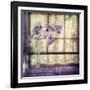 Window Orchids-Mindy Sommers-Framed Giclee Print