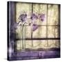 Window Orchids-Mindy Sommers-Stretched Canvas