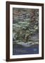 Window Panel with Swimming Fish-Louis Comfort Tiffany-Framed Art Print